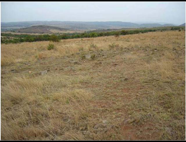 FARM FOR SALE IN CENTURION